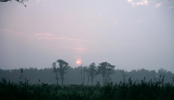 Morningsun 18-oct-2001