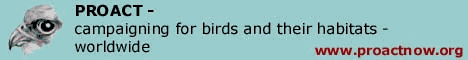 To: www.proactnow.org/