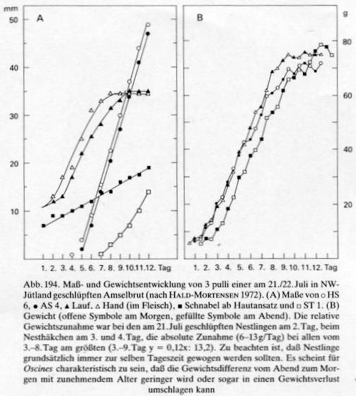 Kopietje uit de Glutz