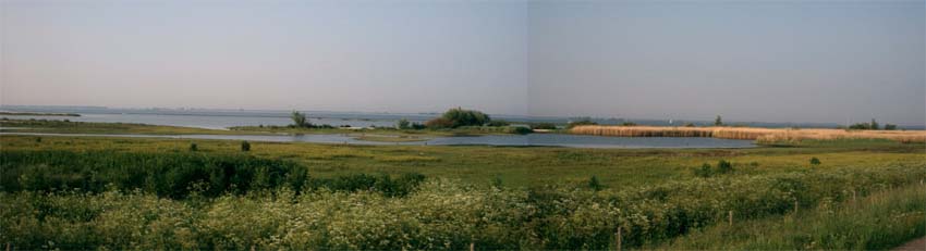 De Quackgors op 29 mei.; Grauwe Fitis zat een paar honderd meter naar links.